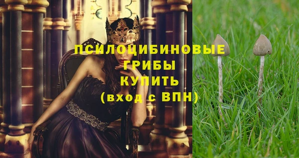 mdpv Покачи