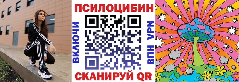 Псилоцибиновые грибы Psilocybe  что такое   Петров Вал 